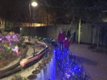 resIMG_20181221_180059_5152.JPG